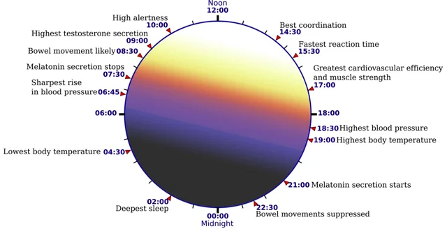  Image from  Lexar Lighting  